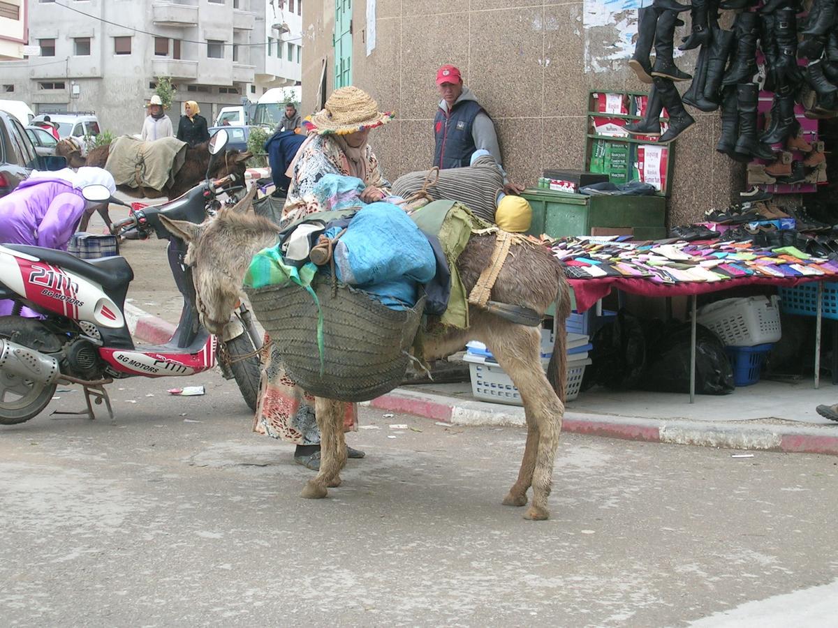 Dar Es Salam-Alta Villa Asilah Buitenkant foto